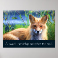 Fluffy Red Fox mit Freundschaftsangebot
