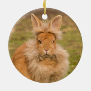 Fluffy Red Lionhead Bunny Rabbit Keramik Ornament