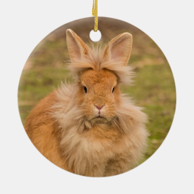 Fluffy Red Lionhead Bunny Rabbit Keramik Ornament (Hinten)
