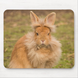 Fluffy Red Lionhead Bunny Rabbit Mousepad
