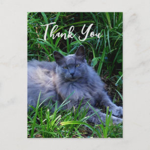 Fluffy Russian Blue Cat Danke-Card Postkarte