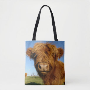 Fluffy Scottish Highland Cow - Blue Sky