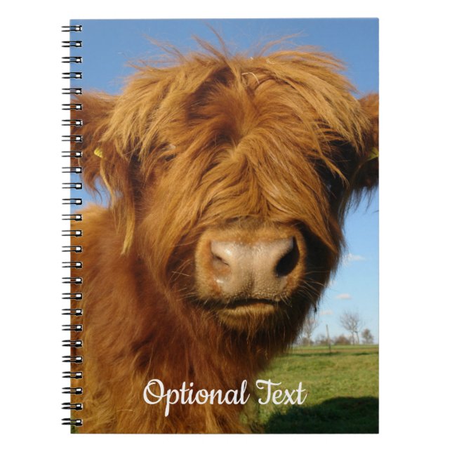 Fluffy Scottish Highland Cow - Blue Sky Notizblock (Vorderseite)
