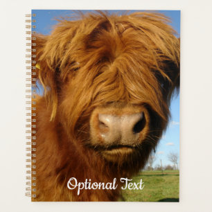Fluffy Scottish Highland Cow - Blue Sky Planer
