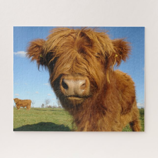 Fluffy Scottish Highland Cow - Blue Sky Puzzle (Horizontal)