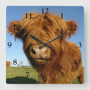 Fluffy Scottish Highland Cow - Blue Sky Quadratische Wanduhr
