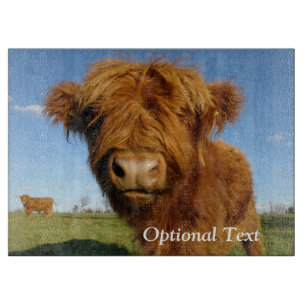 Fluffy Scottish Highland Cow - Blue Sky Schneidebrett