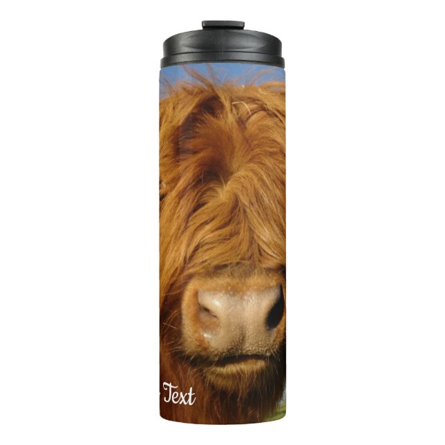 Fluffy Scottish Highland Cow - Blue Sky Thermosbecher (Vorderseite)