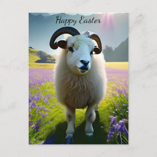 Fluffy Sheep Feld violette Blumen - Ostern Postkarte