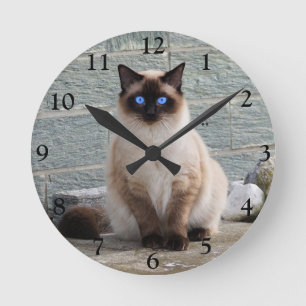 Fluffy Siamese Katze mit blauen Augen Runde Wanduhr