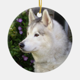 Fluffy Siberian Husky Puppy Dog Keramik Ornament
