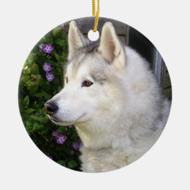 Fluffy Siberian Husky Puppy Dog Keramik Ornament (Vorne)
