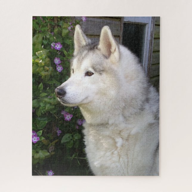 Fluffy Siberian Husky Puppy Dog Puzzle (Vertikal)