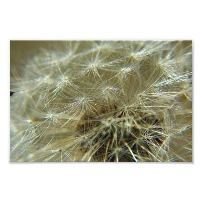 Fluffy Sphere - Foto (Vorne)
