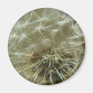 Fluffy Sphere - Magnet