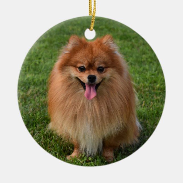 Fluffy Spitz Puppy Dog Keramik Ornament (Vorne)