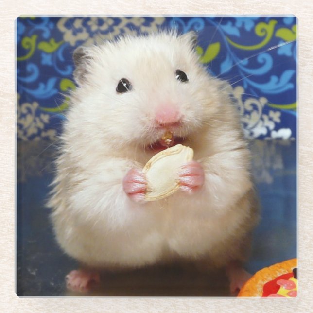 Fluffy Syrian Hamster Kokolinka Glasuntersetzer (Vorderseite)