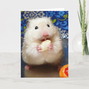 Fluffy Syrian Hamster Kokolinka Karte