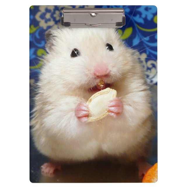 Fluffy Syrian Hamster Kokolinka Klemmbrett (Vorderseite)