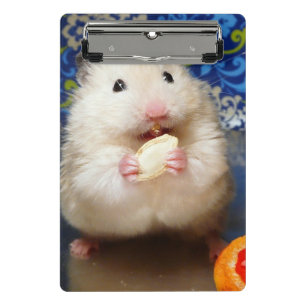 Fluffy Syrian Hamster Kokolinka Mini Klemmbrett