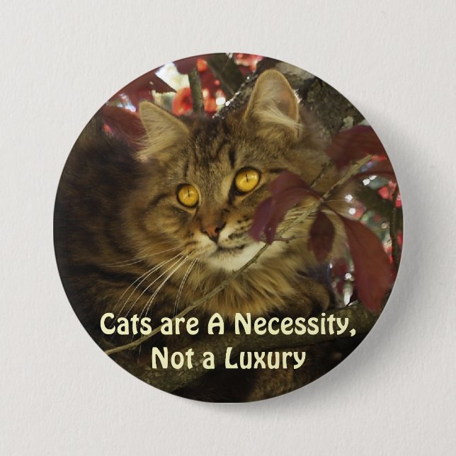 Fluffy TABBY KATZPENDECKEN Button (Vorderseite)