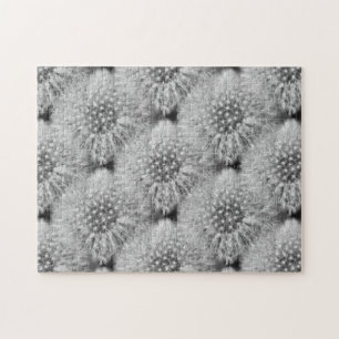 Fluffy White Dandelion Flowers Nature Puzzle