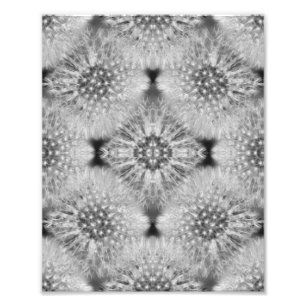 Fluffy White Dandelions Abstrakt Nature 8x10 Fotodruck