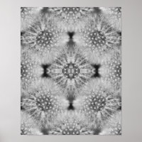 Fluffy White Dandelions Abstrakte Natur
