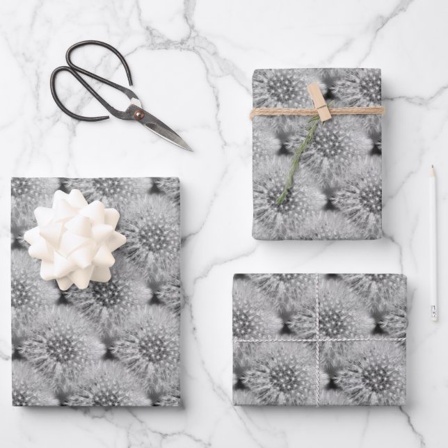 Fluffy White Dandelions Nattern Muster  Geschenkpapier Set (Vorderseite)