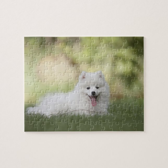 Fluffy White Keeshond Puppy Puzzle (Horizontal)