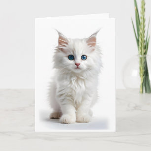 Fluffy White Long Hair Cat Blue Eyes Blank Card Karte