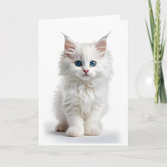 Fluffy White Long Hair Cat Blue Eyes Blank Card Karte (Vorderseite)