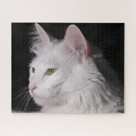 Fluffy White Maine Coon Cat Puzzle