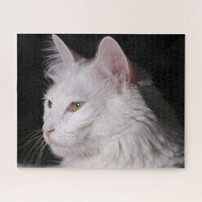 Fluffy White Maine Coon Cat Puzzle (Horizontal)