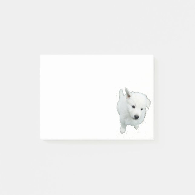 Fluffy White Puppy Foto Post-it Klebezettel (Vorderseite)