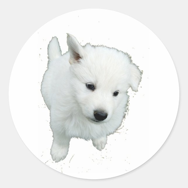 Fluffy White Puppy Foto Runder Aufkleber (Vorderseite)