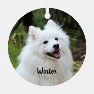 Fluffy White Spitz Welpenhund Ornament Aus Metall