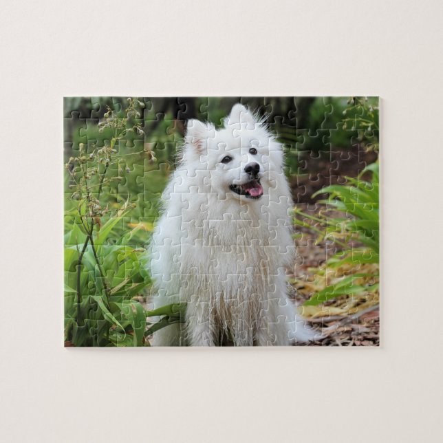 Fluffy White Spitz Welpenhund Puzzle (Horizontal)