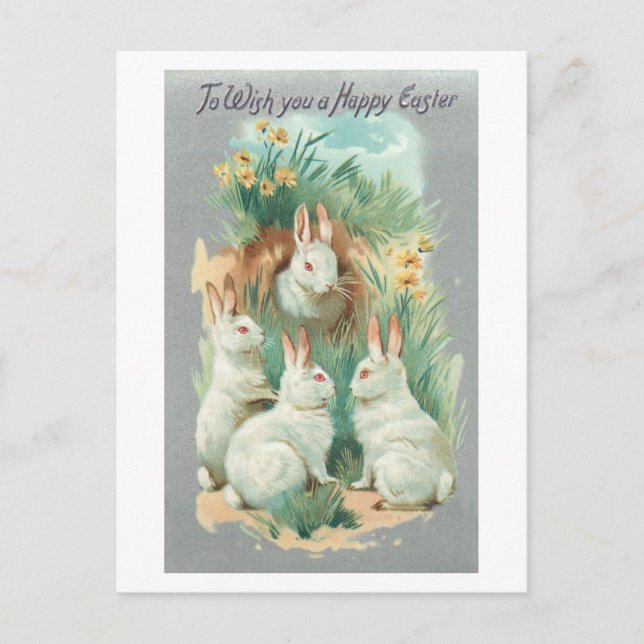 Fluffy White Vintage Easter Bunnies Feiertagspostkarte (Vorderseite)