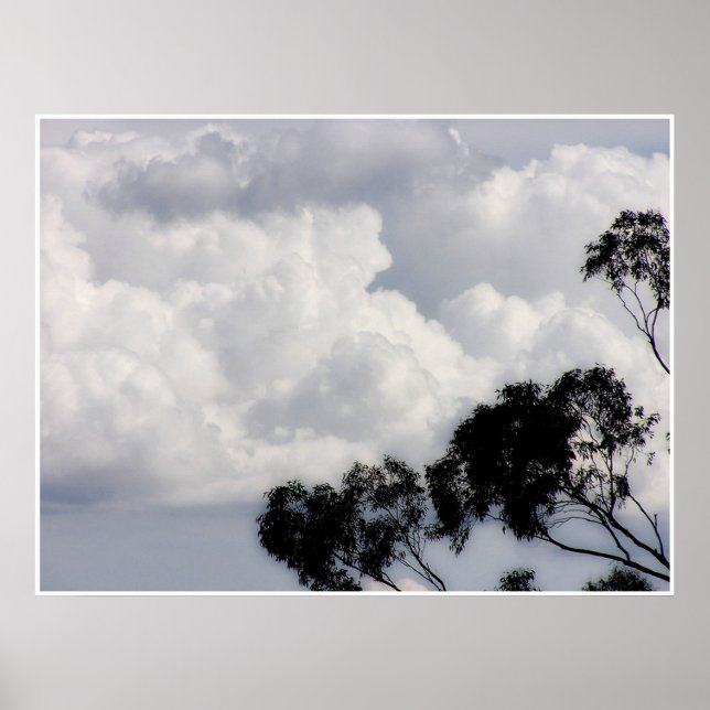 Fluffy Whites Poster (Vorne)