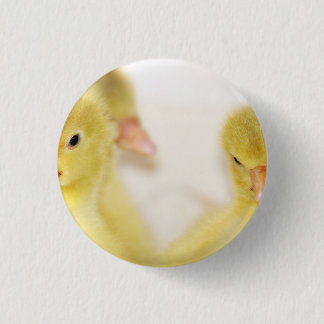 Fluffy Yellow Ducklings Button