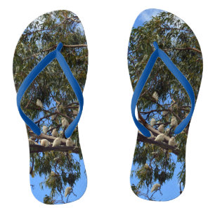 "Flug der Wildtiere: Weißaustralische Kakados Flip Flops
