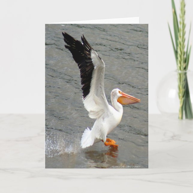 Flug des Pelikans Karte (Vorderseite)