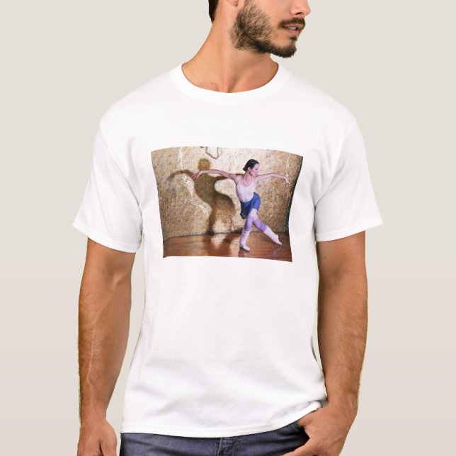 Flug des Schwan-Shirts T-Shirt (Vorderseite)
