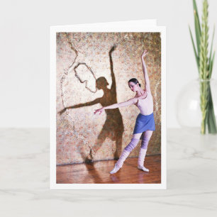 Flug des Schwans 3 - mit Grenze Karte