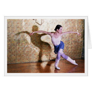 Flug des Schwans 4 - mit Grenze