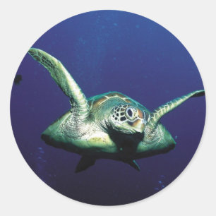 Flug unter Wasser Runder Aufkleber