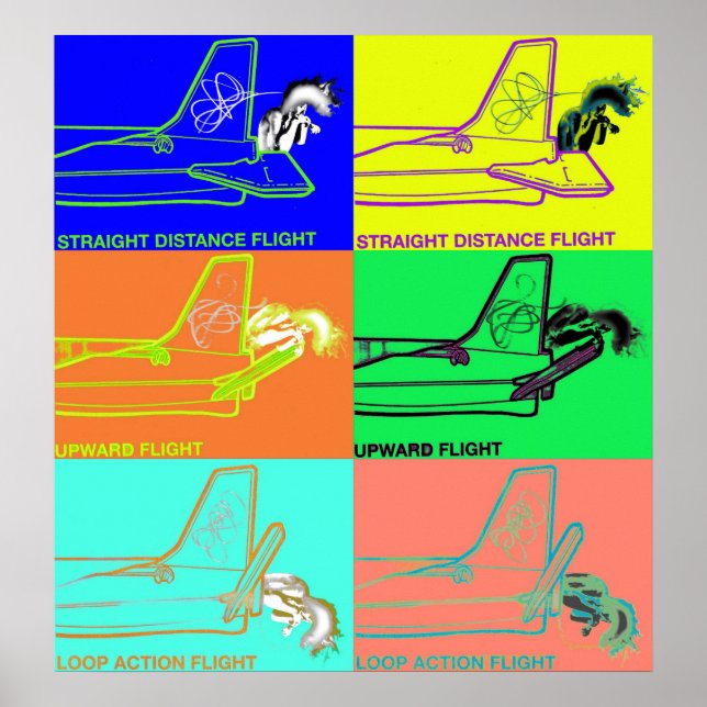 Flugart Poster (Vorne)