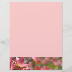 Flugblätter individuell selbst gestalten Pink Dogw Flyer