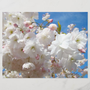 Flugblätter Papier Erstellen Sie Ihre eigenen benu